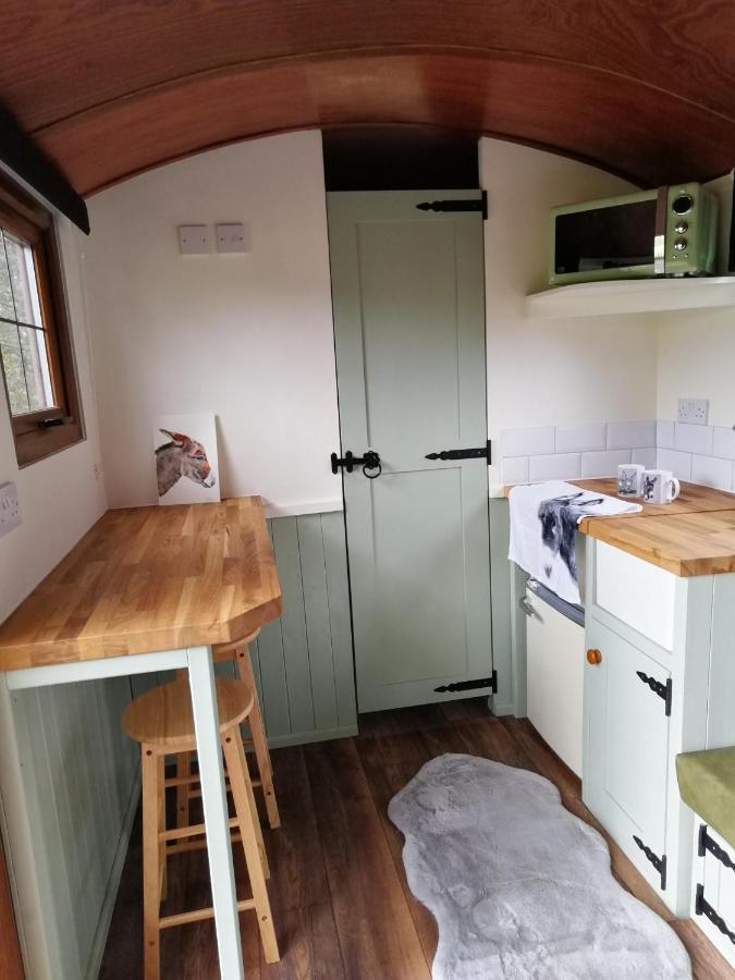 Durham Donkey Rescue Shepherd'S Hut Exterior foto