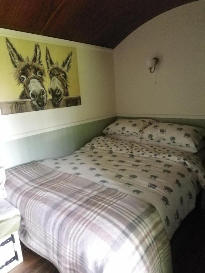 Durham Donkey Rescue Shepherd'S Hut Exterior foto