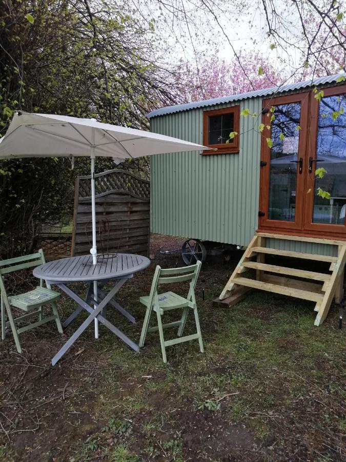 Durham Donkey Rescue Shepherd'S Hut Exterior foto