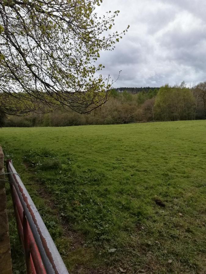 Durham Donkey Rescue Shepherd'S Hut Exterior foto