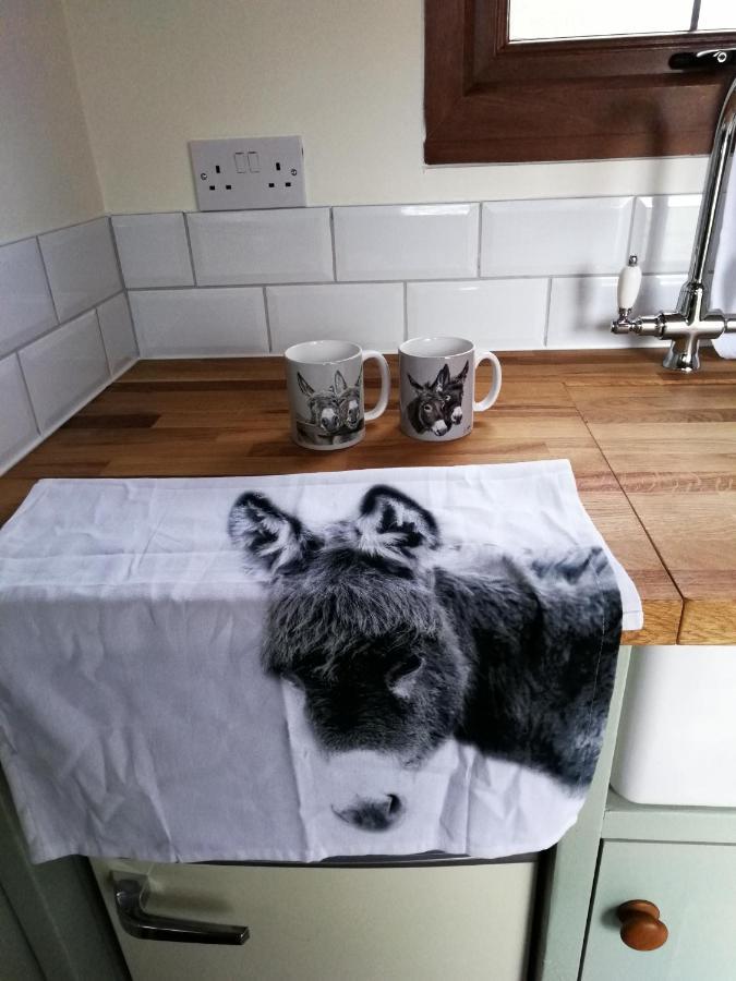 Durham Donkey Rescue Shepherd'S Hut Exterior foto
