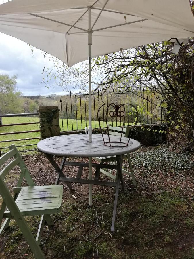 Durham Donkey Rescue Shepherd'S Hut Exterior foto