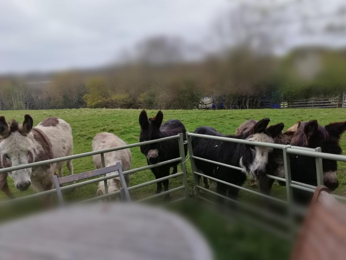 Durham Donkey Rescue Shepherd'S Hut Exterior foto