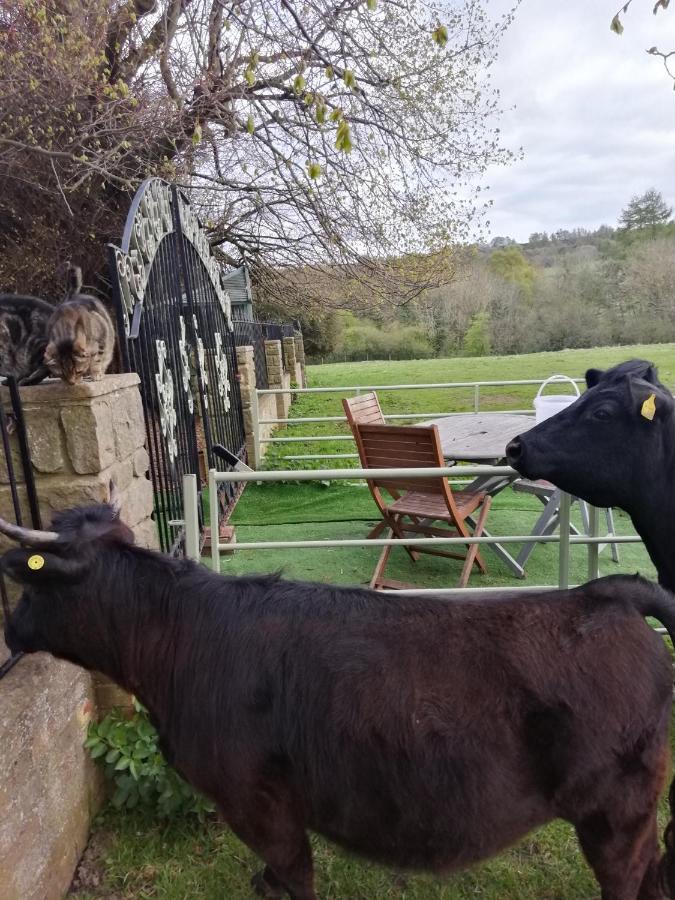 Durham Donkey Rescue Shepherd'S Hut Exterior foto
