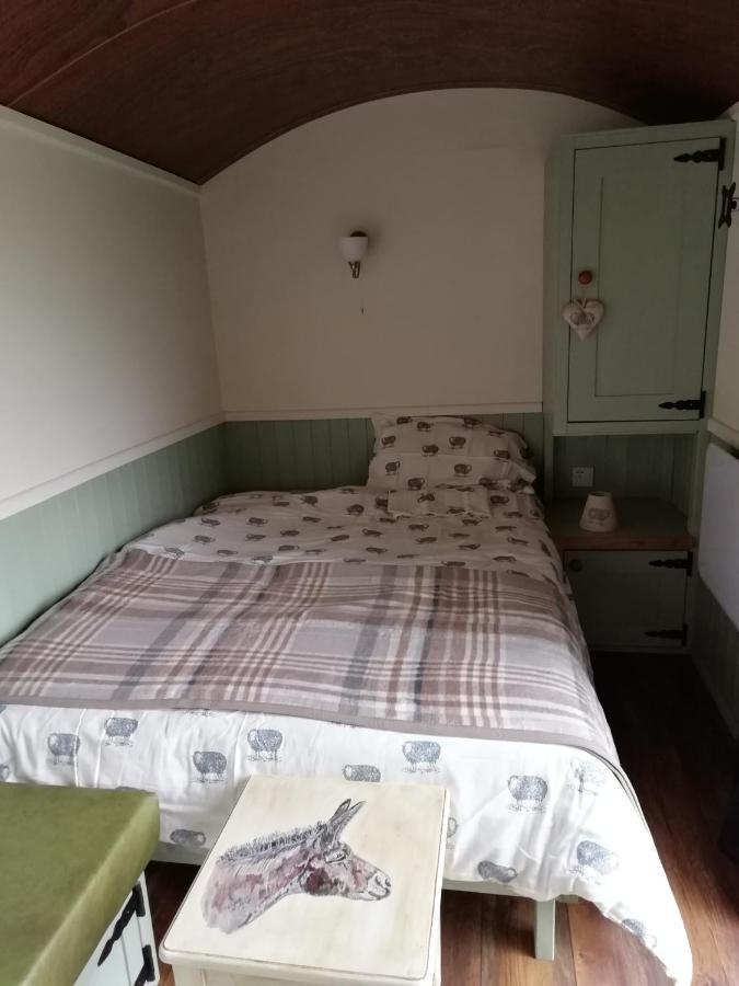 Durham Donkey Rescue Shepherd'S Hut Exterior foto